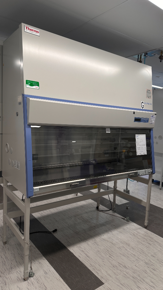 Image of Thermo Scientific 1300 Series A2 BSC- 6ft